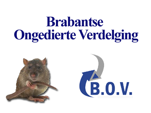 B.O.V. Report Browser
